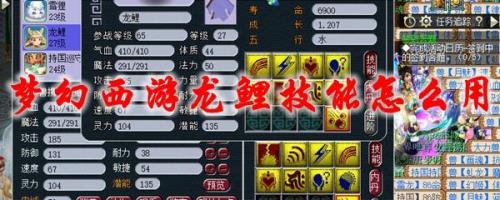 龙鲤适合用什么五色石