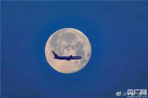 月亮圆了可我还缺一块什么意思
