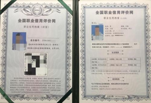 职业资质怎么填
