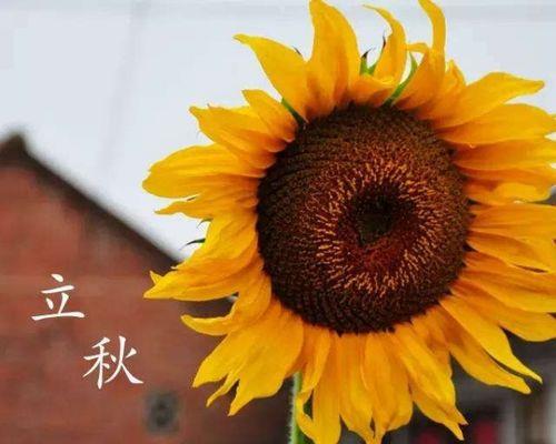 立秋后哪些地方变冷了