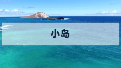 小岛课文提出十个问题并解答