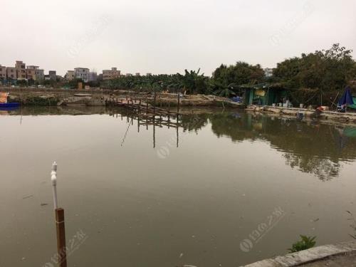 中山湿地公园可以钓鱼吗