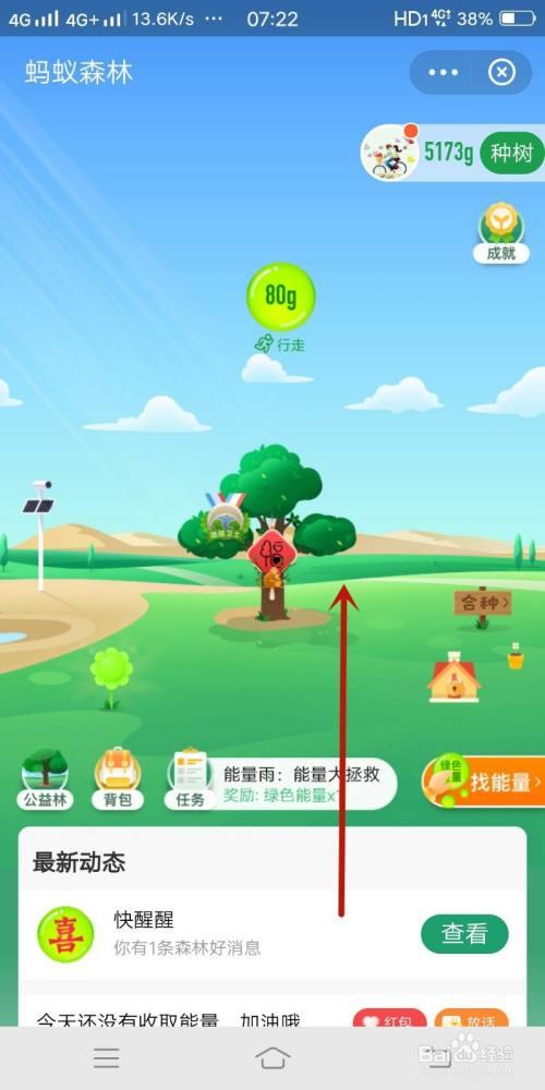 蚂蚁森林提醒好友收能量规则