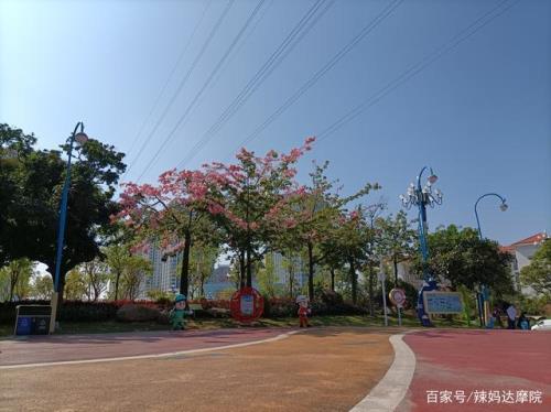 广州十大遛娃必去景点