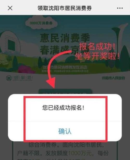 沈阳消费券领取入口