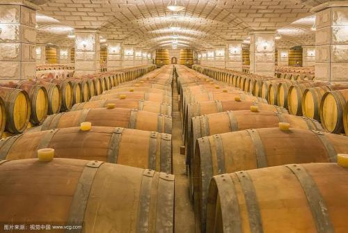 地窖什么时候开