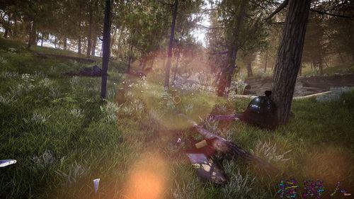 steam森林汽车能开吗