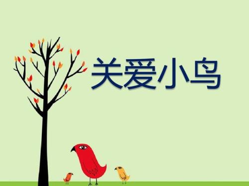 保护小鸟宣传语标牌三年级
