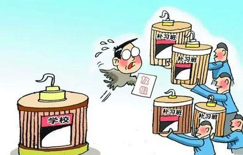 高三补课费是多少