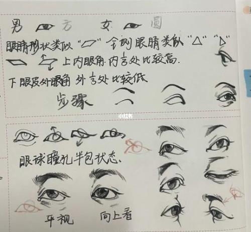 从五官中选一个写一段话20字眼睛