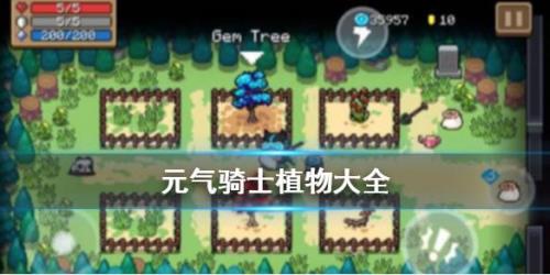 元气骑士竹子种子能种出什么