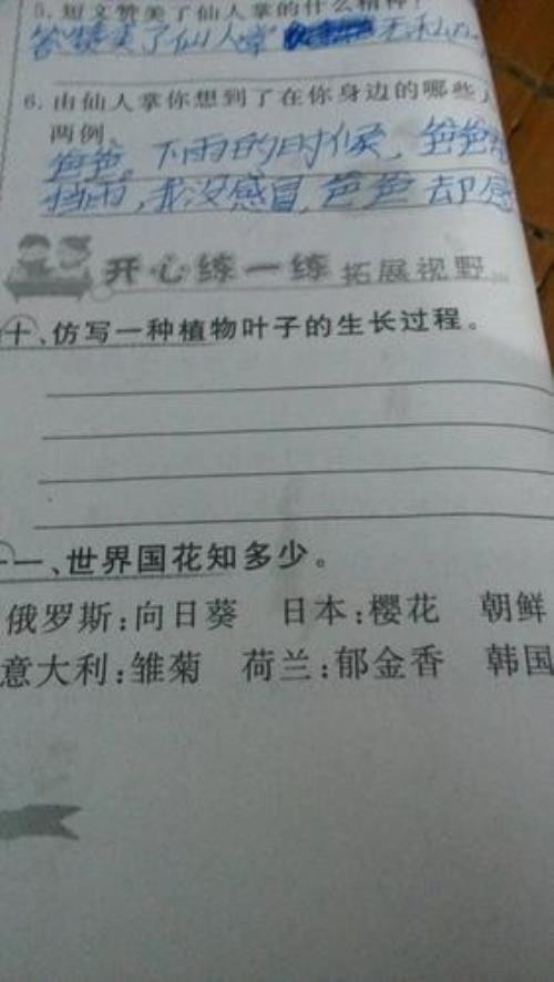 金色的小花有个金色的愿望仿写