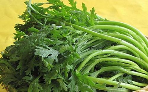 跟茼蒿很像可以生吃的菜叫什么