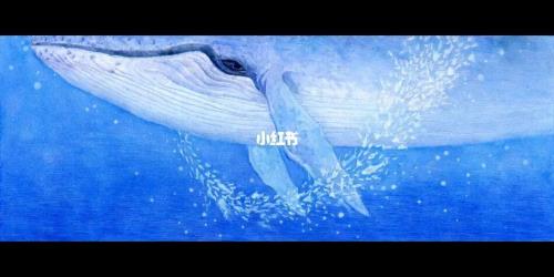 北冥有鱼中含有成语的句子是