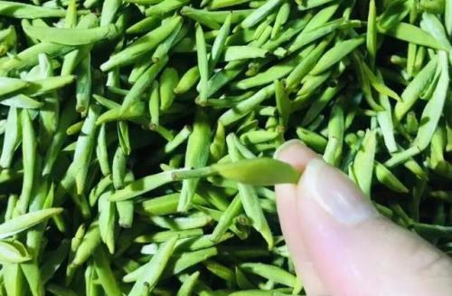 屈屈茶叶怎么样