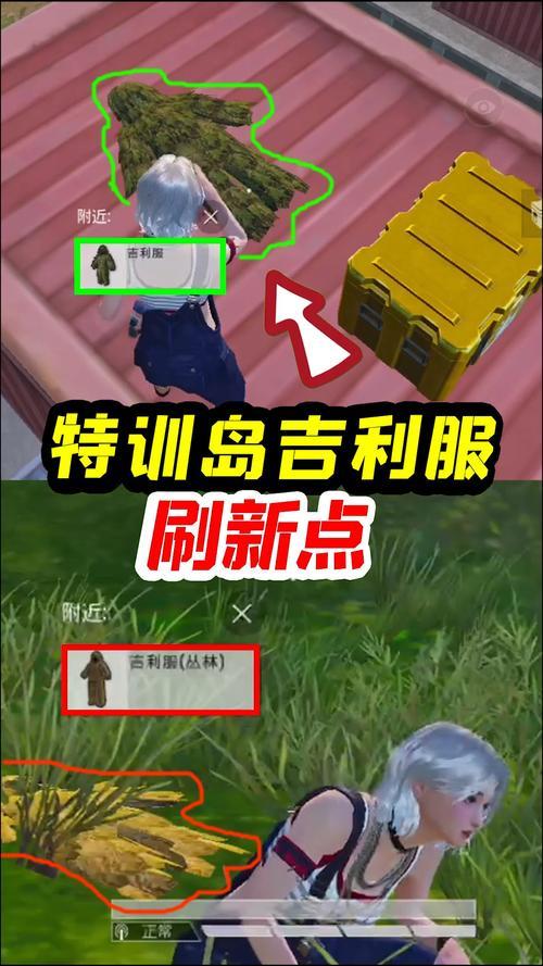 特训岛雪地极地服位置