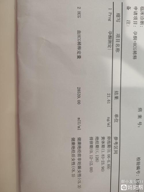 晒验孕棒的句子