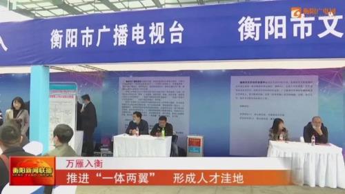 衡阳市一体两翼战略是什么意思