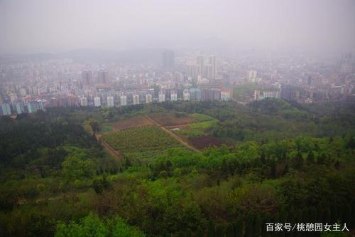 荆门东宝山森林公园要门票吗