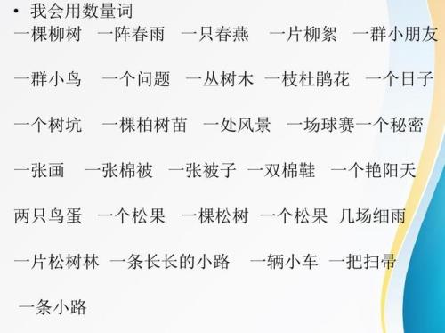 用数量词介绍我的家