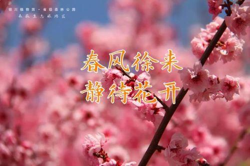 陌上静待花开的含义