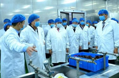 人造肉加工厂利润多少