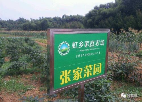青岛家庭农场补贴