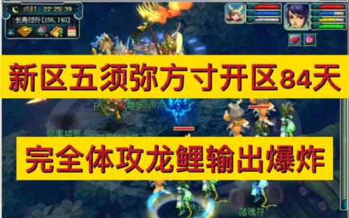 梦幻109带龙鲤可以吗