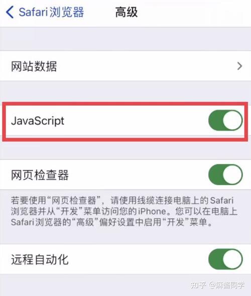 Safari联网以后立刻会自动关闭怎么办