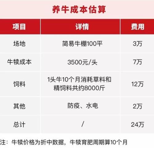 育肥牛肉有哪些营养