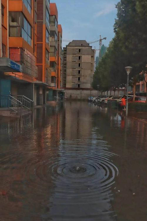 沧州西部有大暴雨指的哪里