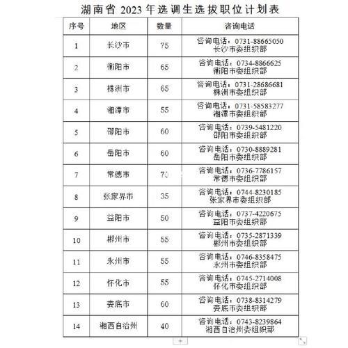 2023天津选调生报录比