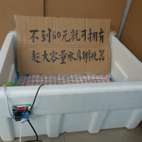 水床孵化盖多厚