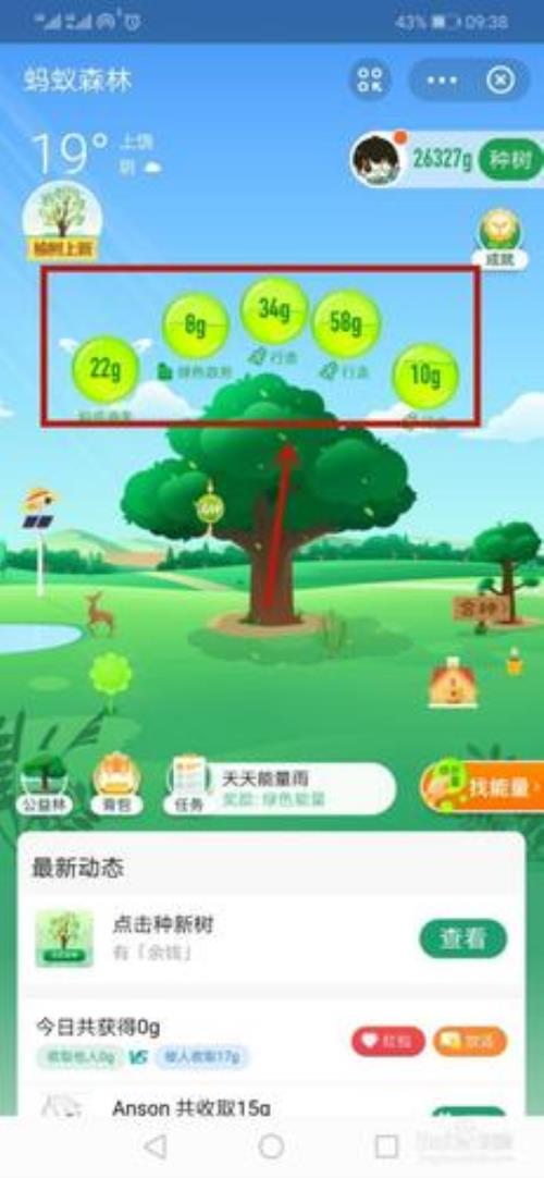 支付宝80g蚂蚁能量是什么