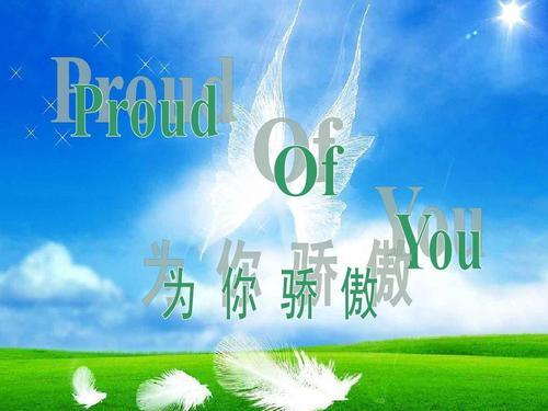 我们为你骄傲是什么意思