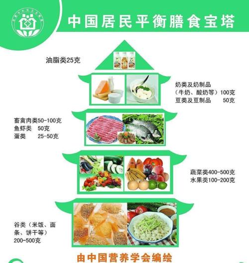 平衡膳食宝塔的根基是什么