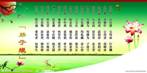 弟子规中学习的句子