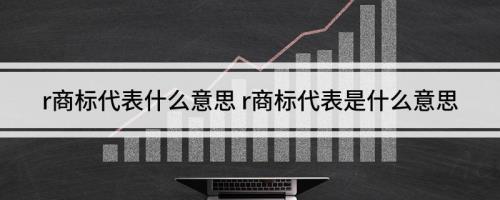 R代表什么意思