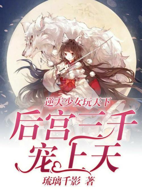 都市，校园，穿越的后宫小说