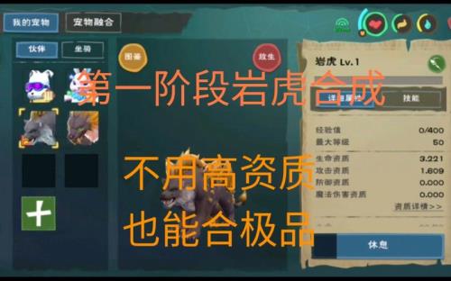 创造与魔法旧金海岸岩火虎王