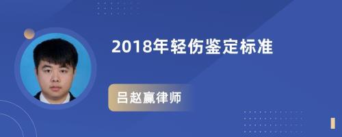 轻伤一级鉴定最新标准