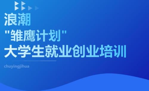 大学生就业创业协会哪个部门好