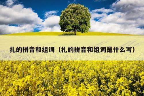 扎的三种读音及用法