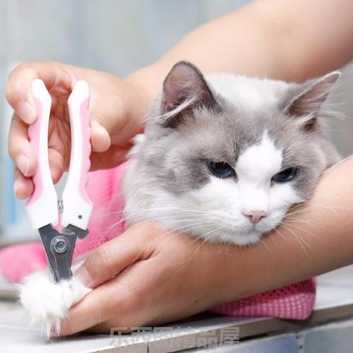 猫咪多长时间剪一次指甲如题