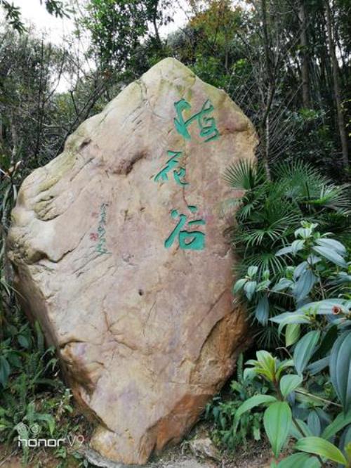 白云山梅花园可以进吗