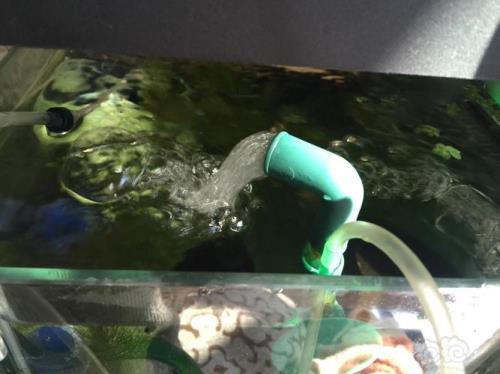 水妖精替换棉多久换一次
