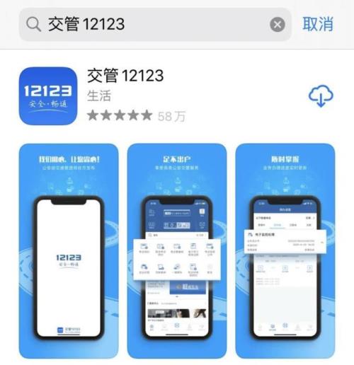 交管12123密码审核要多久
