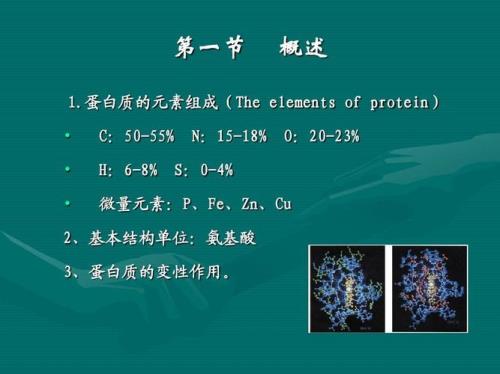 蛋白质的基本单位分子量最小的