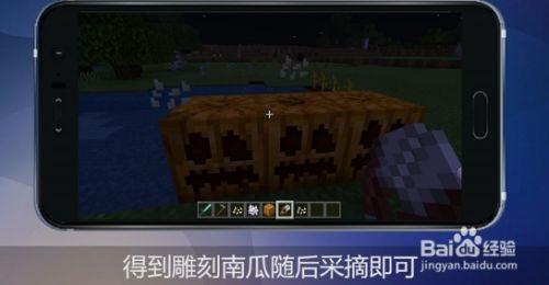 为什么我的世界南瓜不长
