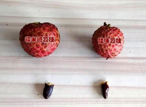 吃腻了荔枝怎么发朋友圈